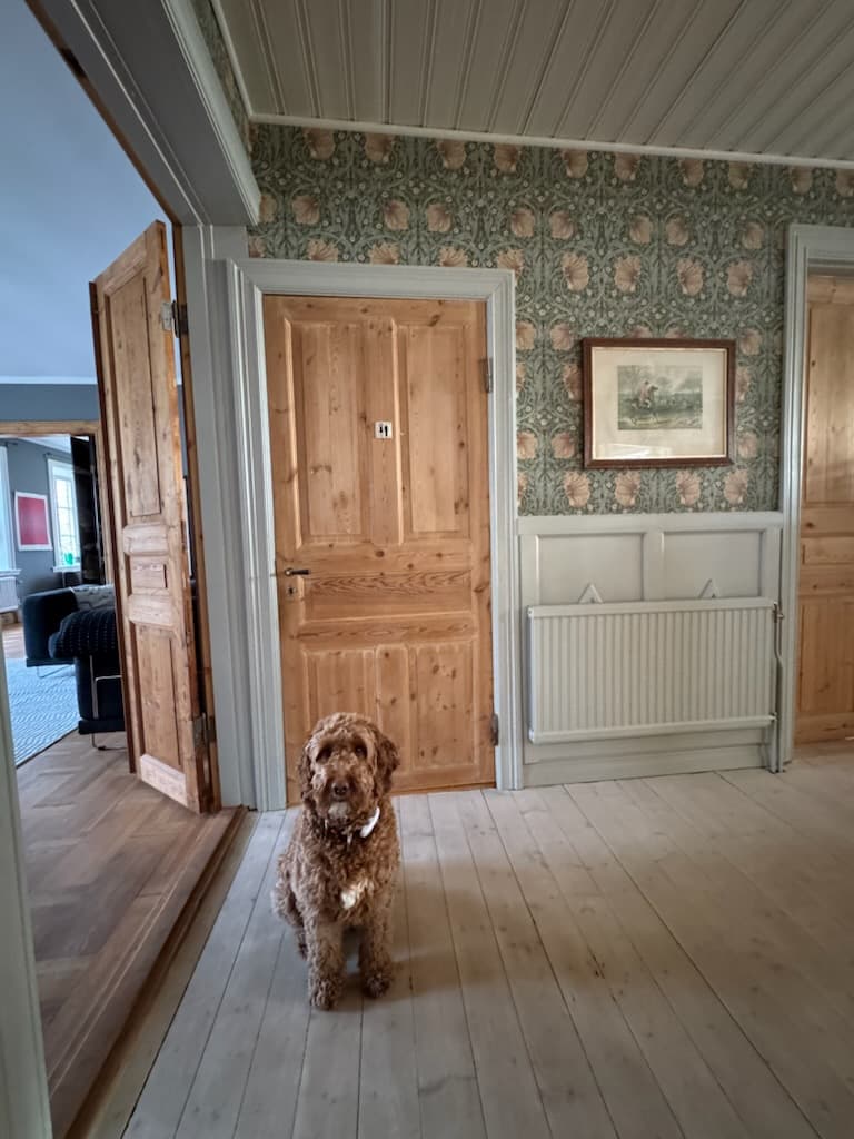 Renoverade originalinnerdörrar i trä